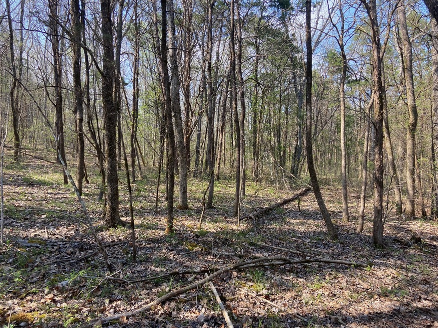 0 Kittrell Halls Hl Rd