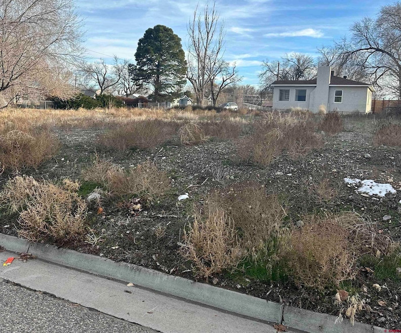 TBD 4th St, Delta, CO 81416 - photo 1