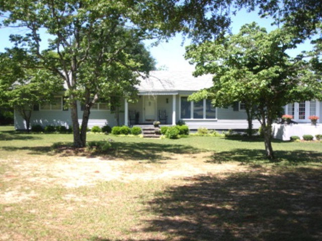 Main View