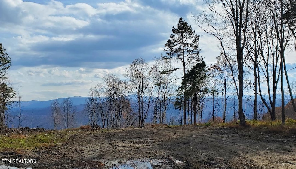 0 Bull Creek Lot K Rd, Huntsville, TN 37756 - photo 1