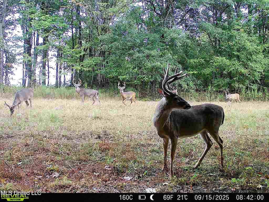 0 Curtis Rd unit 4105556, Batesville, MS 38606 - photo 1