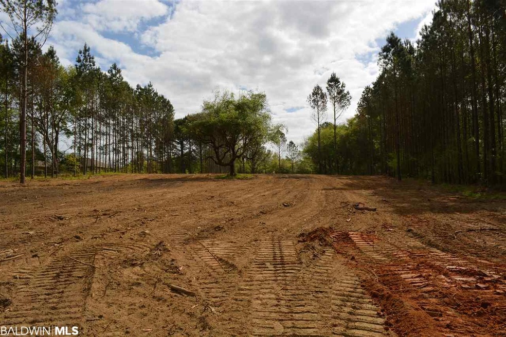 13829 State Highway 181, Fairhope, AL 36532 - photo 1