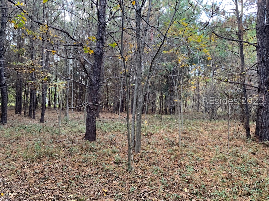 37 Pearl Harbor Dr, Saint Helena Island, SC 29920 - photo 1