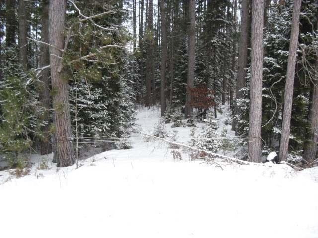 ON Cth Cc, Tomahawk, WI 54487 - photo 1