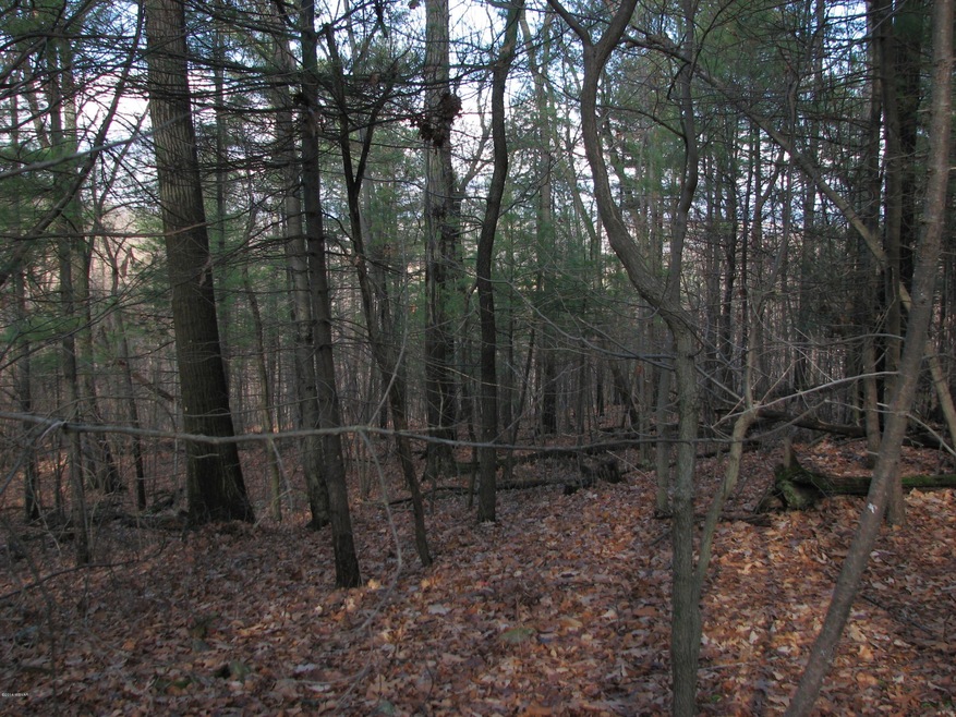 0 Tower Rd, Liberty Township, PA 17821 - photo 1