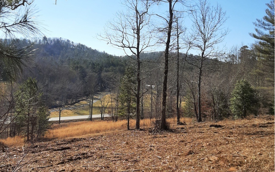 Main View