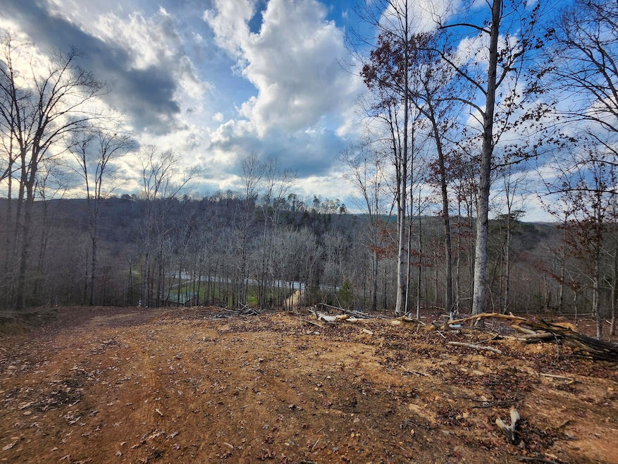 0 Harrison Pike unit 20255558, McDonald, TN 37353 - photo 1