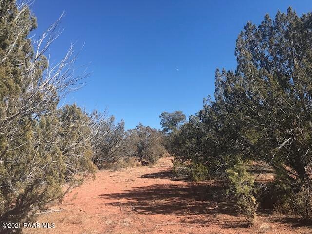 9 Christmas Tree, Ash Fork, AZ 86320 - photo 1