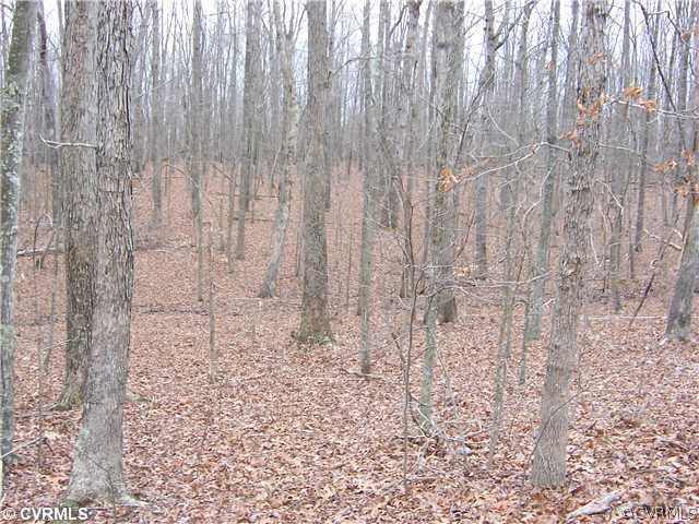 Land