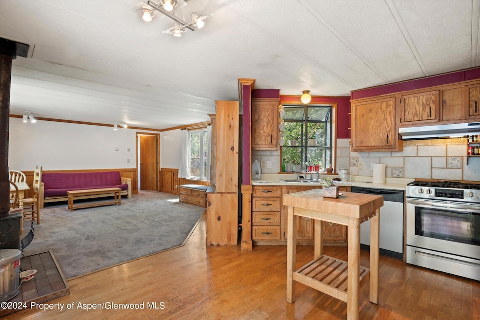 40 Aspen Village Rd, Aspen, CO 81611 - photo 1