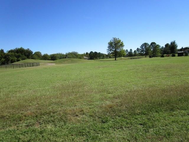 22070 Shady Grove Ct, Whitney, TX 76692 - photo 1