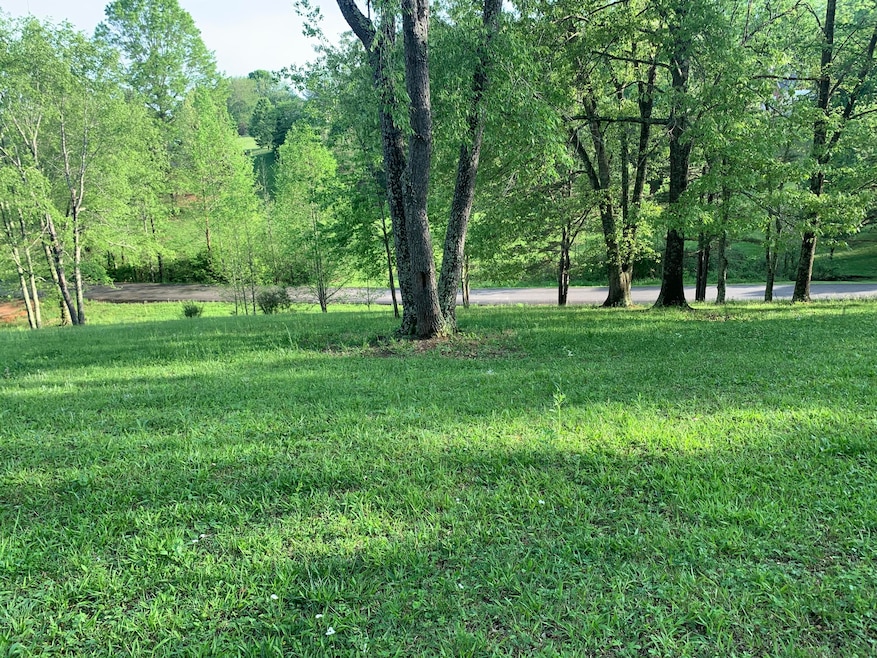 Lot 13 Backside