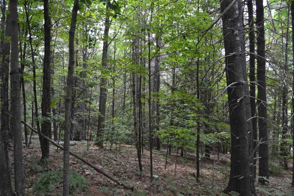 161 Waukewan Rd, Center Harbor, NH 03226 - photo 1