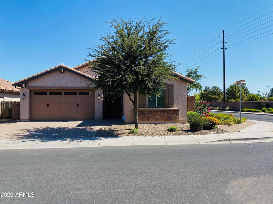 298 E Kaibab Dr, Chandler, AZ 85249 - photo 1