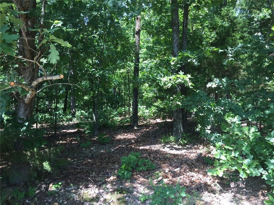 4260 Bear Hollow Rd, Jane, MO 64856 - photo 1