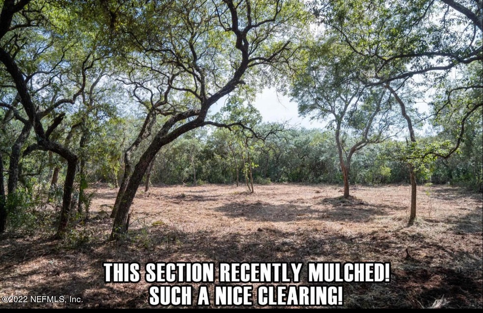 Clearing1jpg