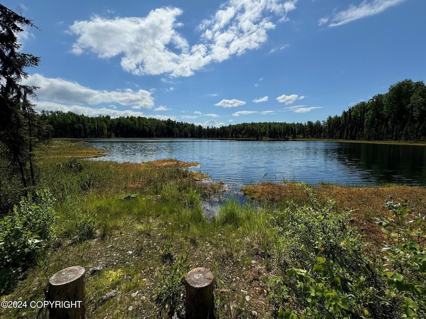 B005 Private Rd, Willow, AK 99688 - photo 1