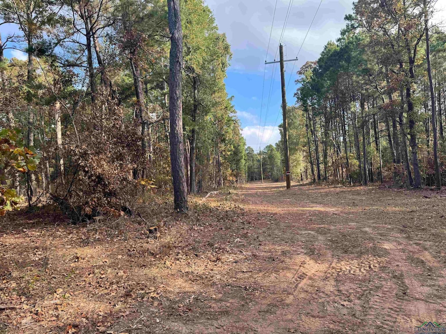 LOT 6 TBD County Road 4111, Henderson, TX 75654 - photo 1