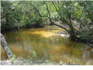 Mathison Creek at Back of Property