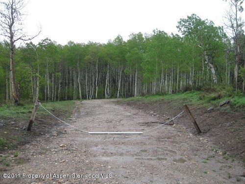 Driveway-View from Road