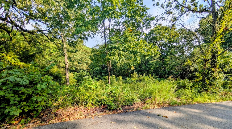 Lot 9 Azalea Ln, Ruth C Township, MO 65737 - photo 1