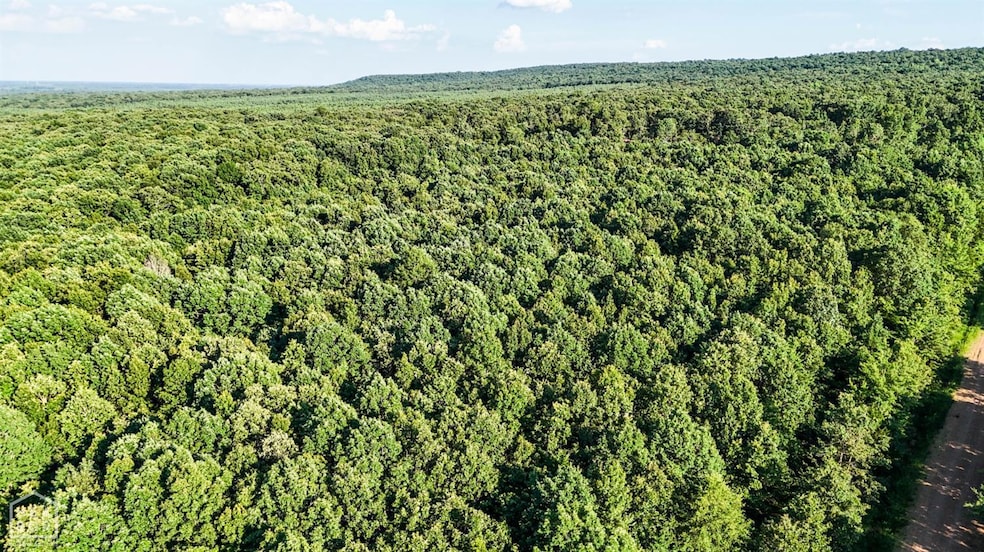 0 SE Rd unit 10123332, Bradford, AR 72020 - photo 1