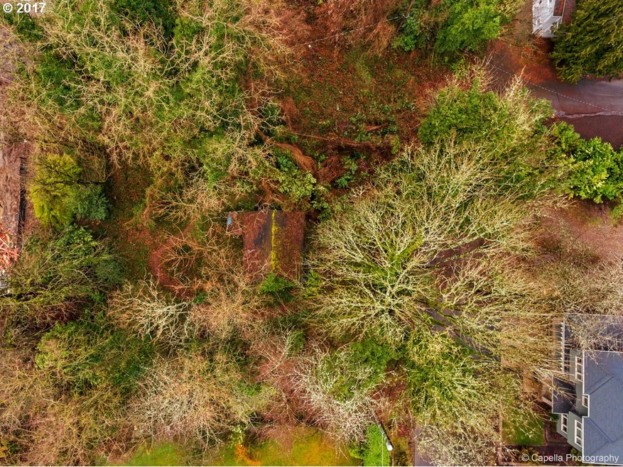 934 Ash St, Lake Oswego, OR 97034 - photo 1