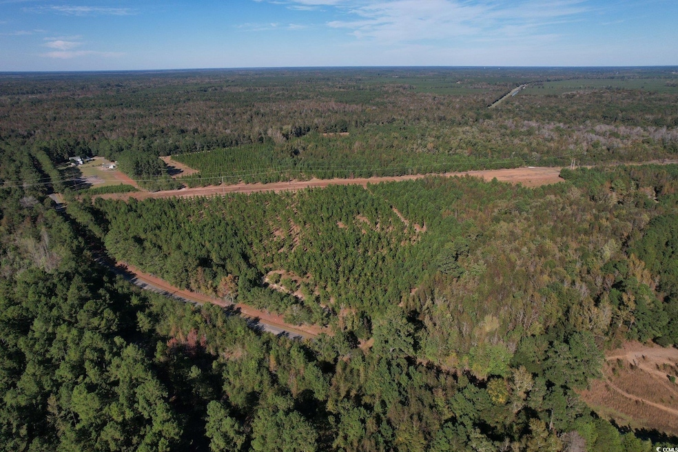 TBD Sand Plant Rd, Nichols, SC 29581 - photo 1