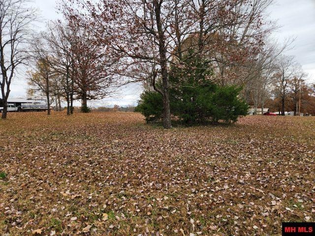 Lots 118 & 119 Surrey Dr, Lakeview, AR 72642 - photo 1