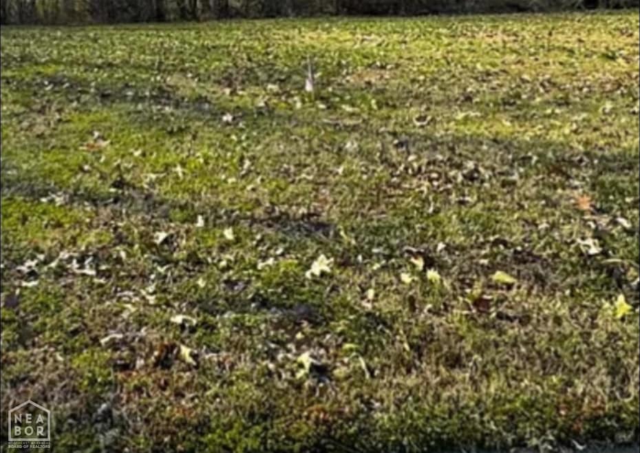 1517 Granger Dr, Jonesboro, AR 72401 - photo 1