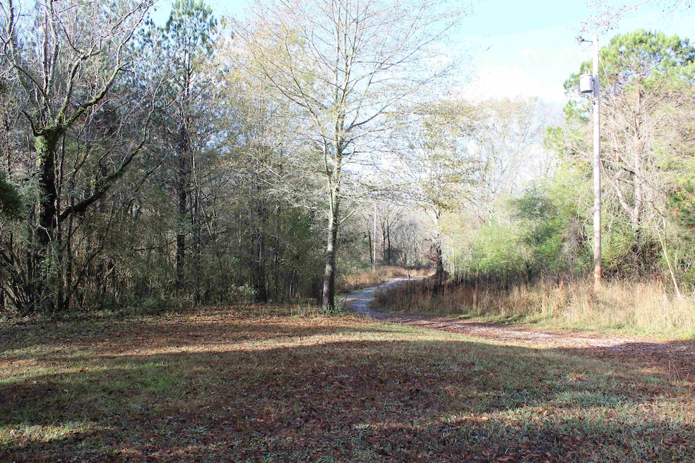 1628 Childhaven Rd NE, Cullman, AL 35055 - photo 1