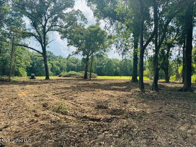 0 4 55 Acres Hwy 63, Lucedale, MS 39452 - photo 1