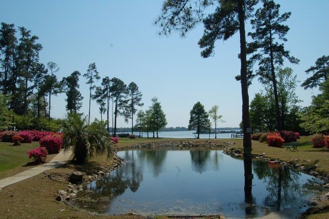 Main View