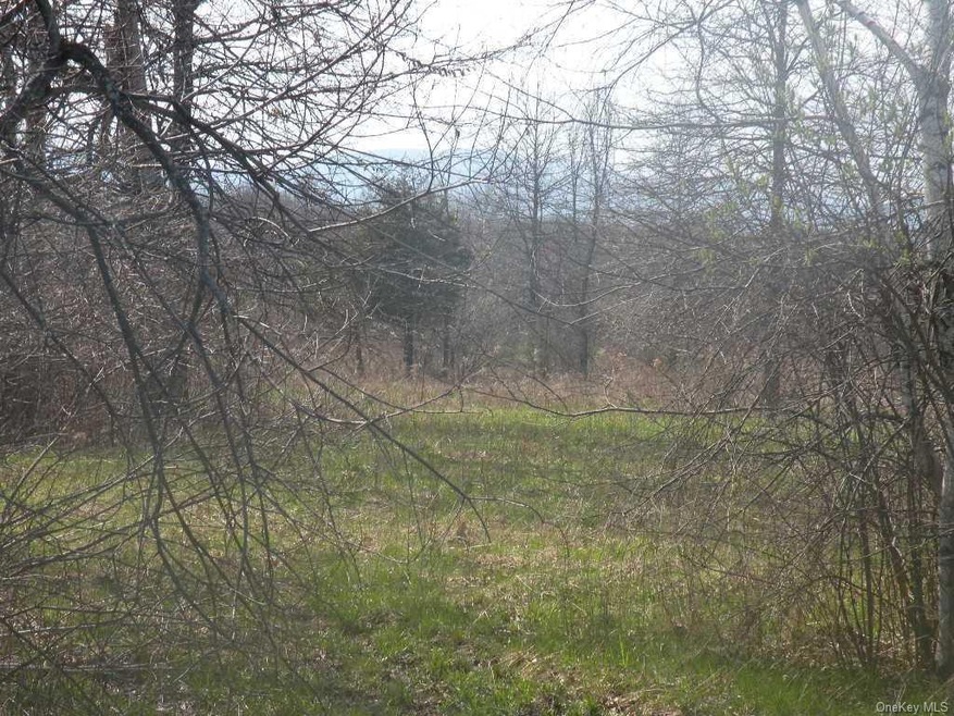 0 Moore Rd unit 373600, Clermont, NY 12583 - photo 1