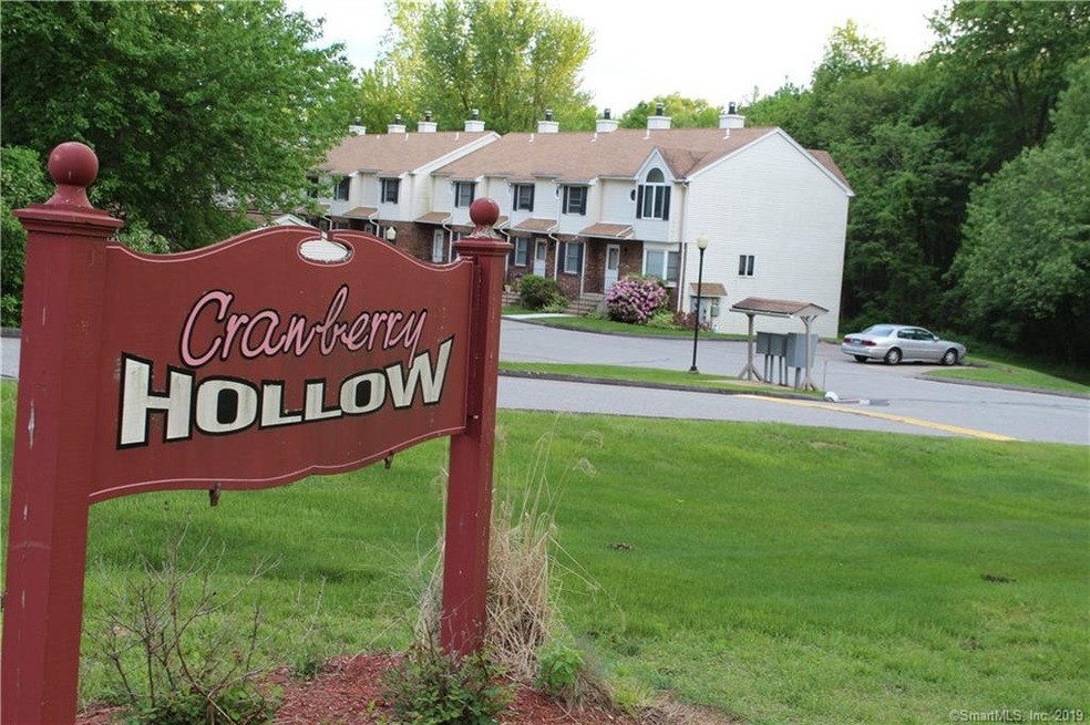 21 Cranberry Hollow unit 21, Enfield, CT 06082 - photo 1