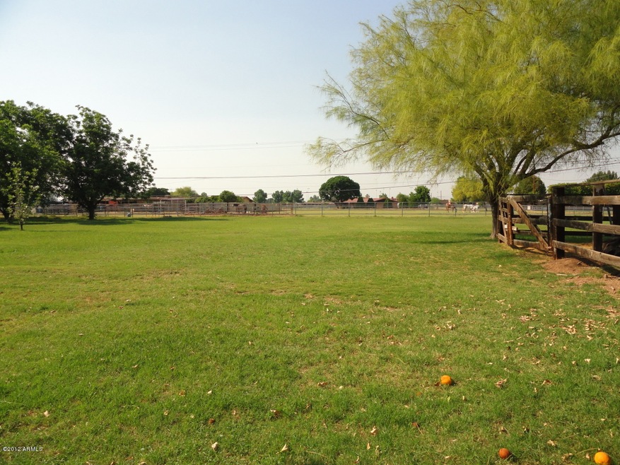 Pasture For Your Horses!