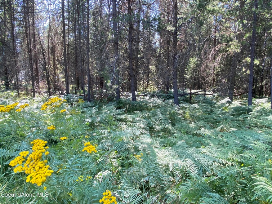 Beautiful Acreage