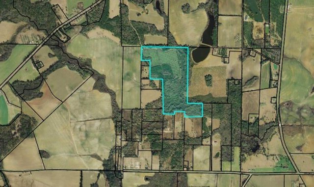 0 Hunt Rd, Pavo, GA 31778 - photo 1