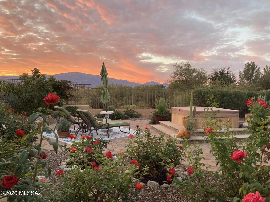 Sunrise Backyard