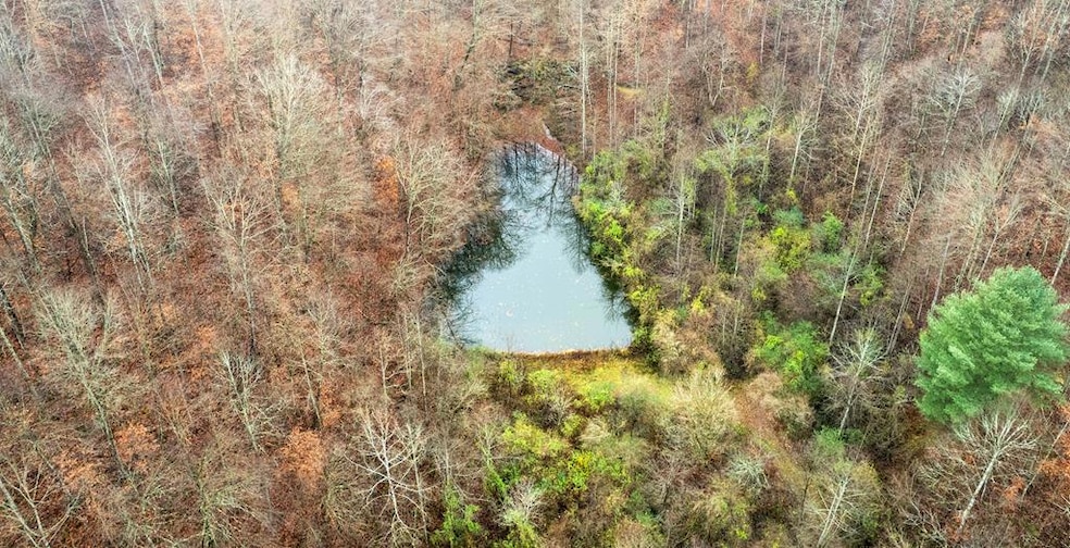 503 Brown Branch Rd Dix Fk, Sidney, KY 41564 - photo 1