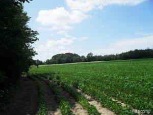 11 Acres.jpg