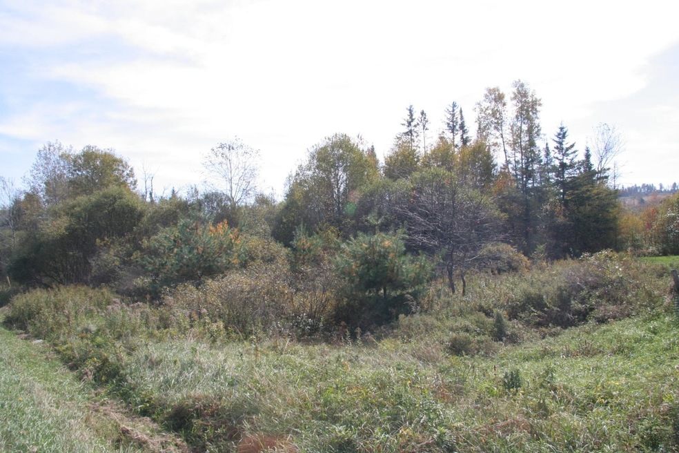 On W Main St Unit Lot 5, Concord, VT 05824 MLS 4973083