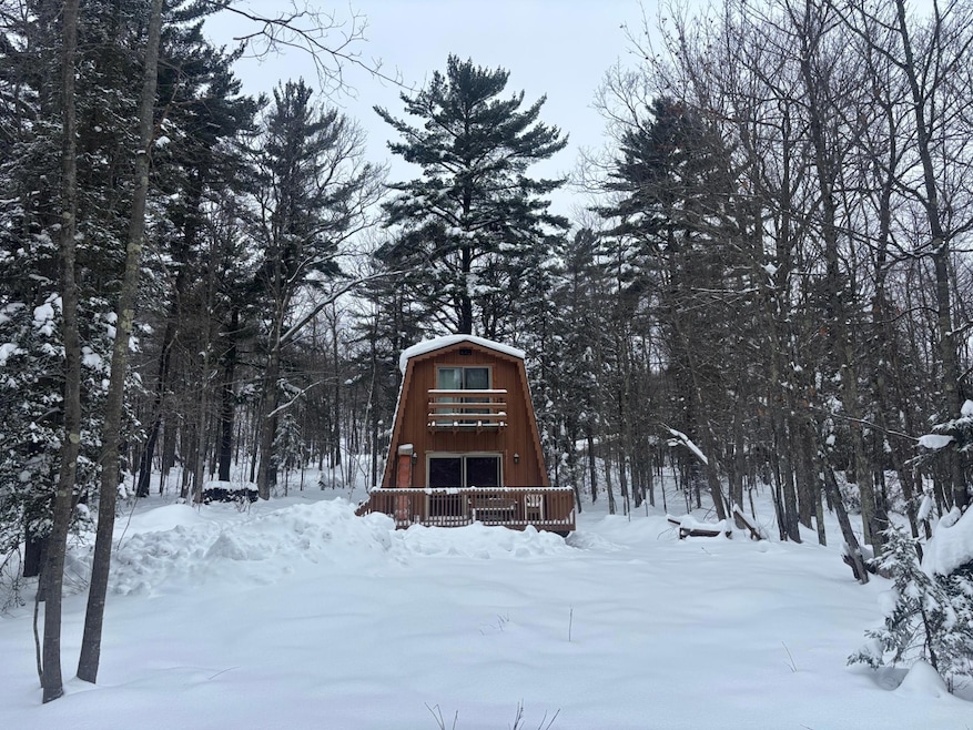 N10736 Cannonball Ct, Bessemer, MI 49911 - photo 1