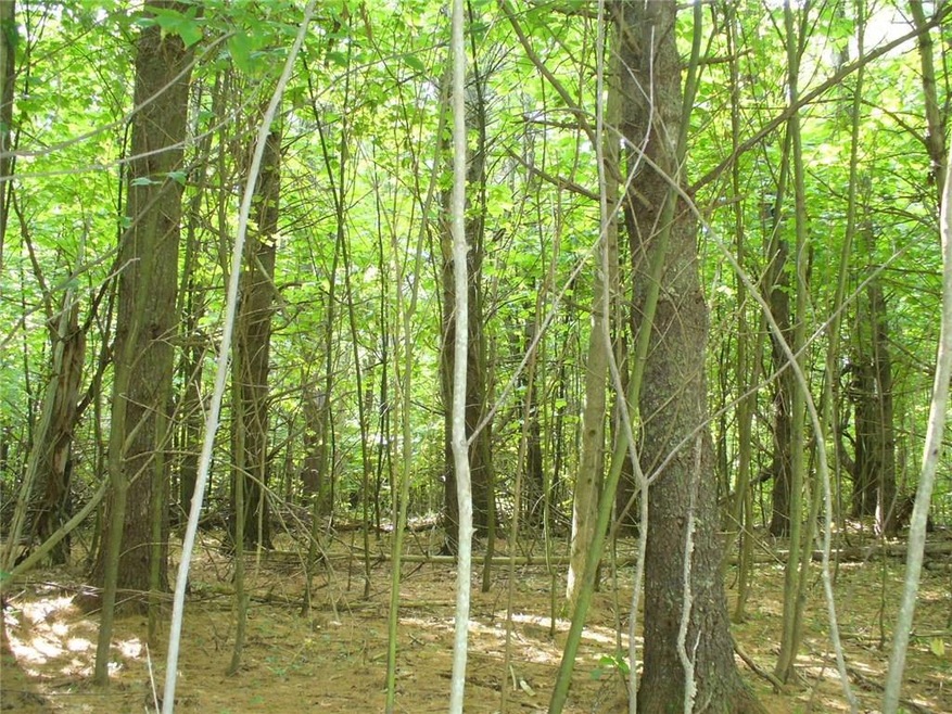 Lot 25.15 Ridge View Ln, Westport Island, ME 04578 - photo 1