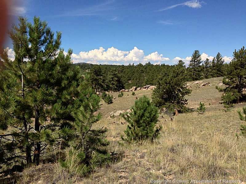 33 Jasper Way, Hartsel, CO 80449 - photo 1