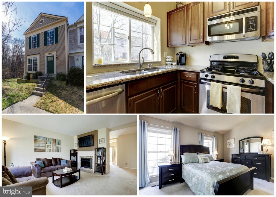 7232 Stover Dr, Alexandria, VA 22306 - photo 1