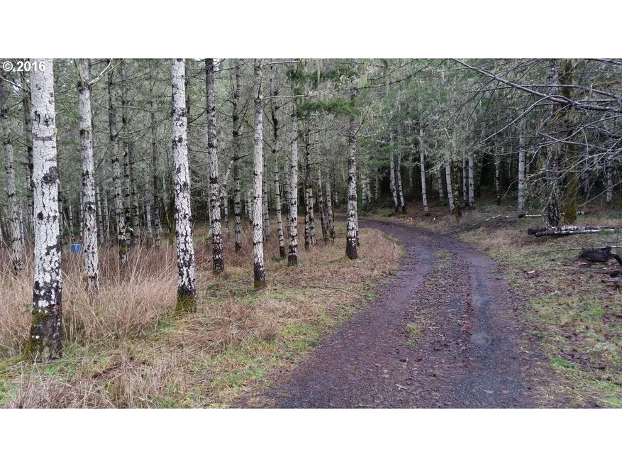 0 Violet Dr unit 100, Sheridan, OR 97378 - photo 1