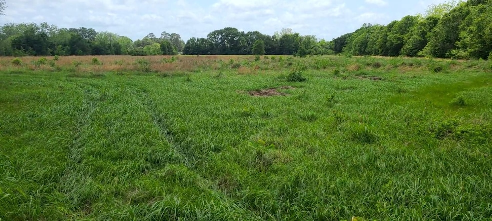 0 Farm To Market 1459 Rd, Sweeny, TX 77480 - photo 1