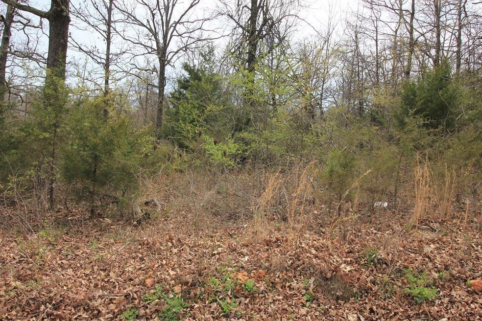 Lot 4 Harris Rd, Lowell, AR 72745 - photo 1