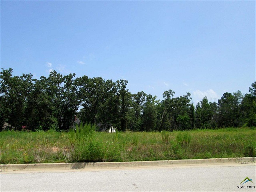 1414 Covewood Dr, Tyler, TX 75703 - photo 1